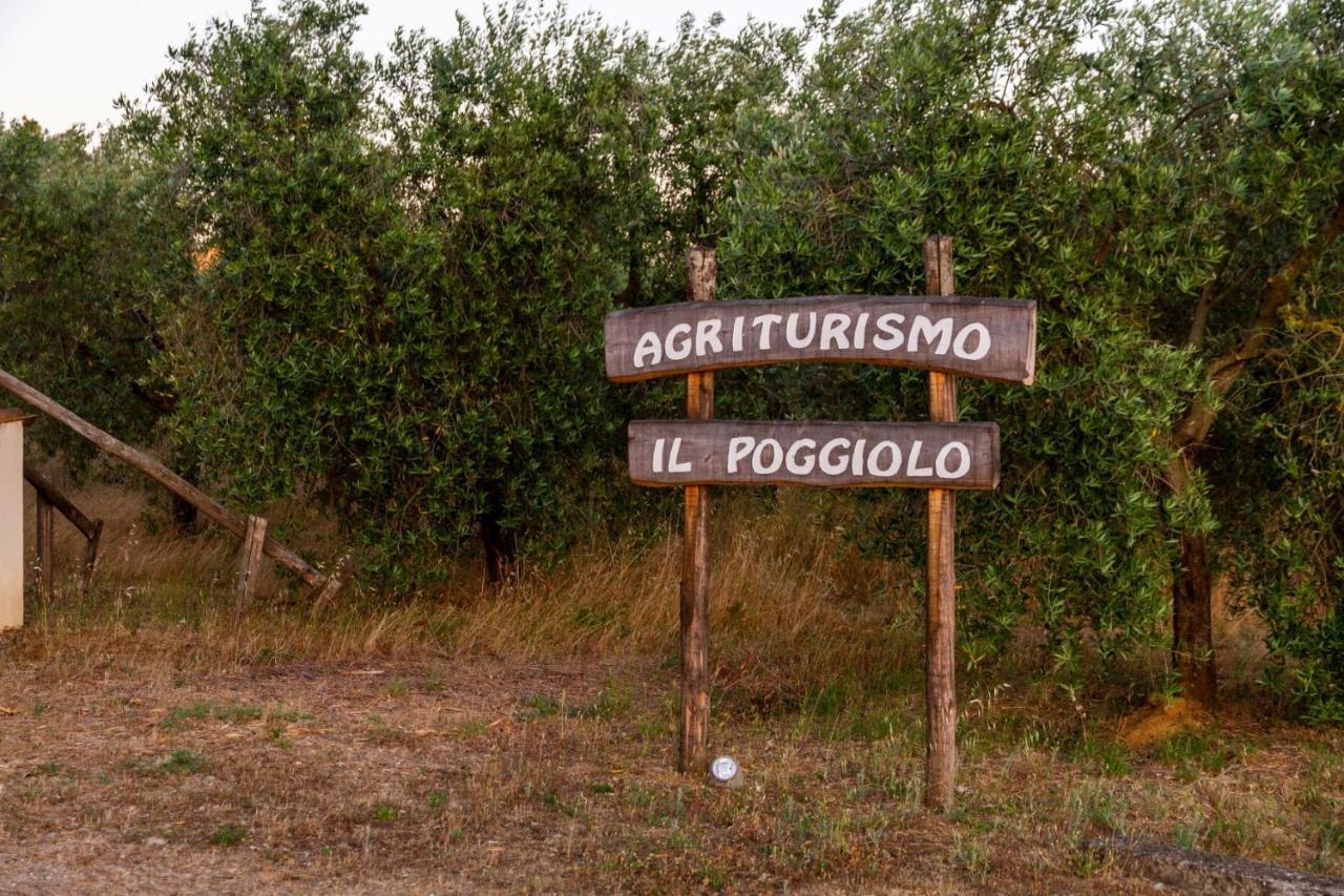 Willa Agriturismo Il Poggiolo Grosseto Zewnętrze zdjęcie